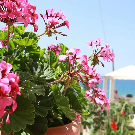 Aristotelis-nikos Paramonas * Paramonas (Corfu)