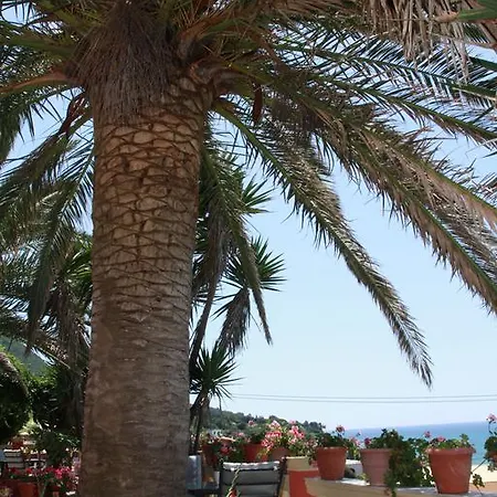 Aristotelis-nikos Paramonas (Corfu)